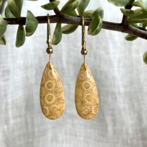 Kolczyki Avishi z koralem